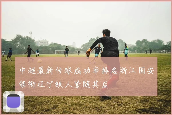 中超最新传球成功率排名浙江国安领衔辽宁铁人紧随其后